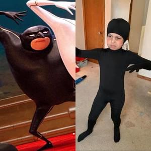 Meet your Posher, Steve